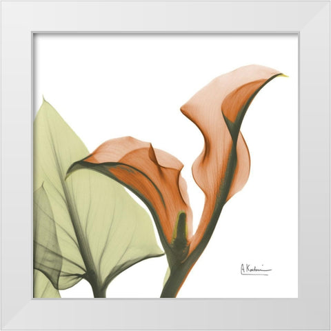 Crimson Calla L235 White Modern Wood Framed Art Print by Koetsier, Albert