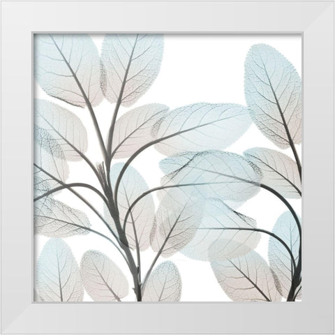 Sandy Blooms 1 White Modern Wood Framed Art Print by Koetsier, Albert