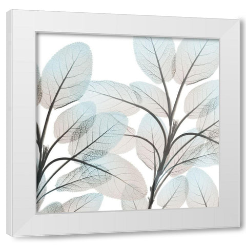 Sandy Blooms 2 White Modern Wood Framed Art Print by Koetsier, Albert