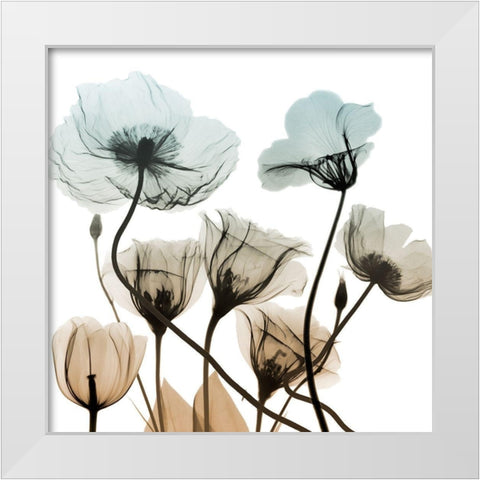 Sandy Floral Cluster 2 White Modern Wood Framed Art Print by Koetsier, Albert