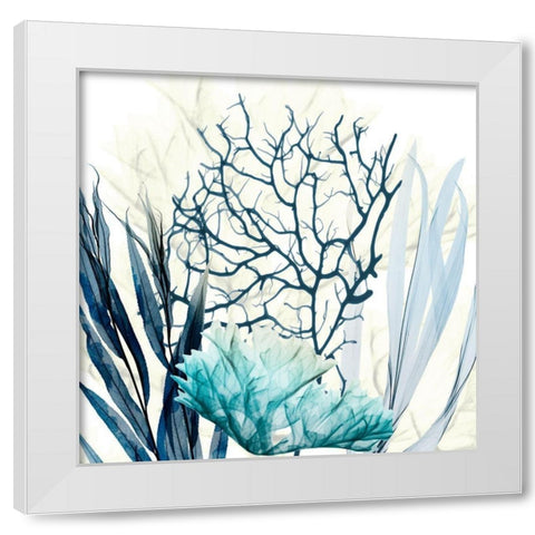 Ocean Floor Life 1 White Modern Wood Framed Art Print by Koetsier, Albert