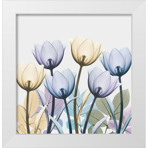 Tulip Collage 1 White Modern Wood Framed Art Print by Koetsier, Albert