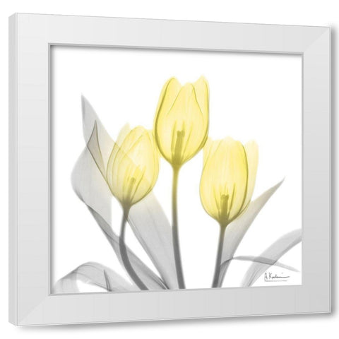 Brilliant Tulips 1 White Modern Wood Framed Art Print by Koetsier, Albert