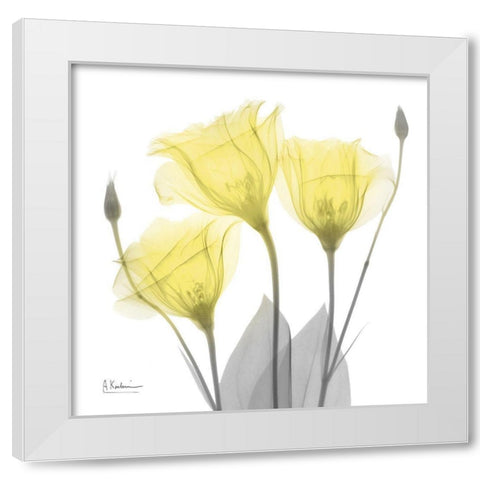 Brilliant Gentian Buddies 1 White Modern Wood Framed Art Print by Koetsier, Albert