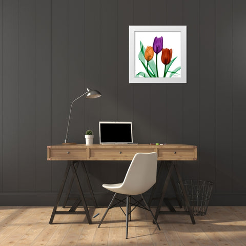 Jeweled Tulips 1 White Modern Wood Framed Art Print by Koetsier, Albert
