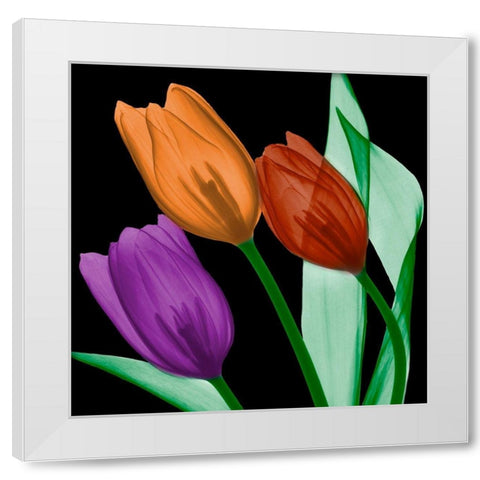 Jeweled Tulips 4 White Modern Wood Framed Art Print by Koetsier, Albert