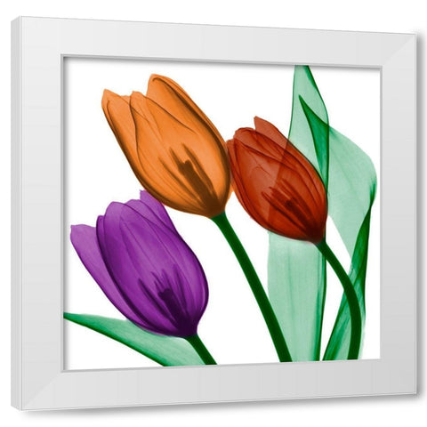 Jeweled Tulips 2 White Modern Wood Framed Art Print by Koetsier, Albert