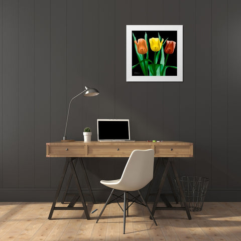 Jewel Embellished Tulips 4 White Modern Wood Framed Art Print by Koetsier, Albert