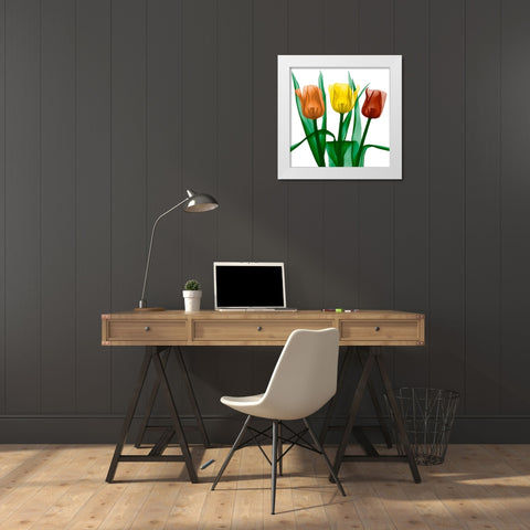 Jewel Embellished Tulips 2 White Modern Wood Framed Art Print by Koetsier, Albert