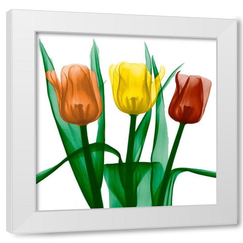 Jewel Embellished Tulips 2 White Modern Wood Framed Art Print by Koetsier, Albert