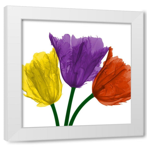 Shiny Jewel Tulips 1 White Modern Wood Framed Art Print by Koetsier, Albert