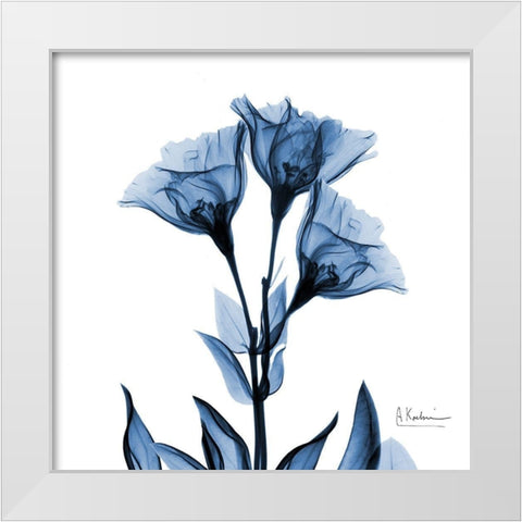 Indigo Gentian White Modern Wood Framed Art Print by Koetsier, Albert