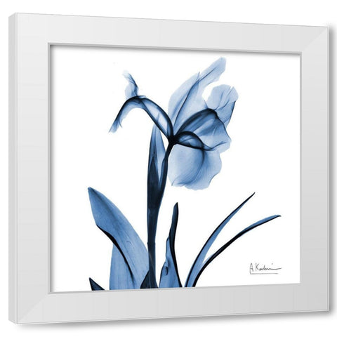 Indigo Iris White Modern Wood Framed Art Print by Koetsier, Albert