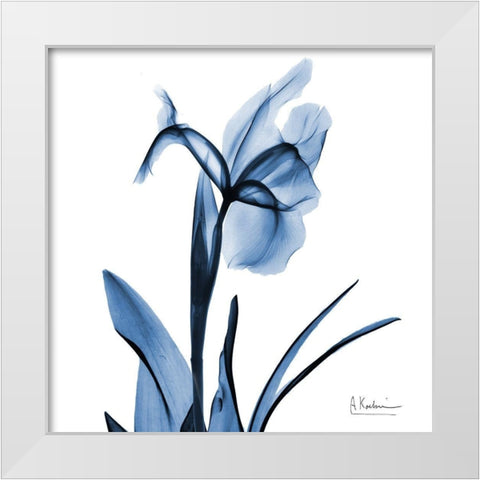 Indigo Iris White Modern Wood Framed Art Print by Koetsier, Albert