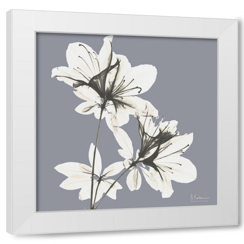 Splendid Neutral Beauty 1 White Modern Wood Framed Art Print by Koetsier, Albert