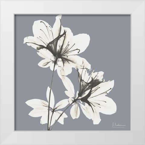 Splendid Neutral Beauty 1 White Modern Wood Framed Art Print by Koetsier, Albert