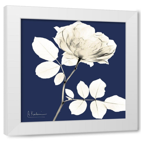 Rose Midnight Dynasty 1 White Modern Wood Framed Art Print by Koetsier, Albert