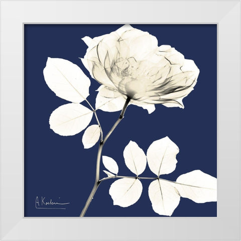 Rose Midnight Dynasty 1 White Modern Wood Framed Art Print by Koetsier, Albert