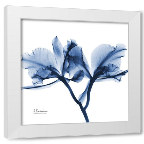 Indigo Orchid White Modern Wood Framed Art Print by Koetsier, Albert