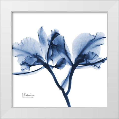 Indigo Orchid White Modern Wood Framed Art Print by Koetsier, Albert