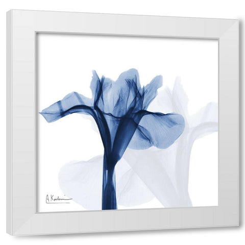 Indigo Infused Iris White Modern Wood Framed Art Print by Koetsier, Albert