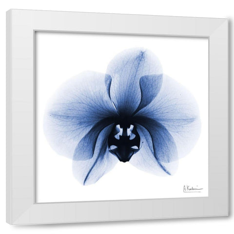 Indigo Infused Orchid 1 White Modern Wood Framed Art Print by Koetsier, Albert