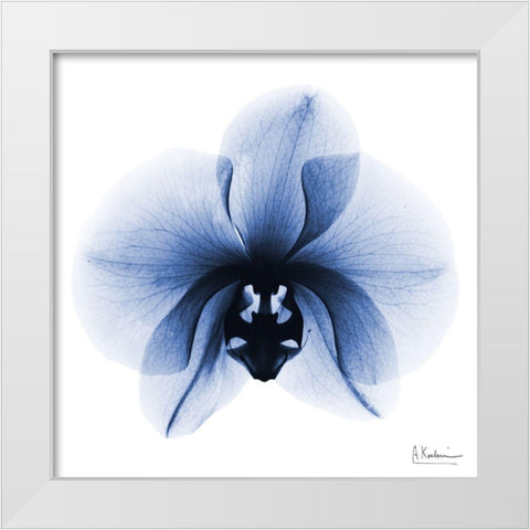 Indigo Infused Orchid 1 White Modern Wood Framed Art Print by Koetsier, Albert