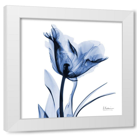 Indigo Softened Tulip White Modern Wood Framed Art Print by Koetsier, Albert