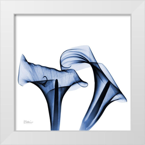 Twin Indigo Calla Lilies White Modern Wood Framed Art Print by Koetsier, Albert