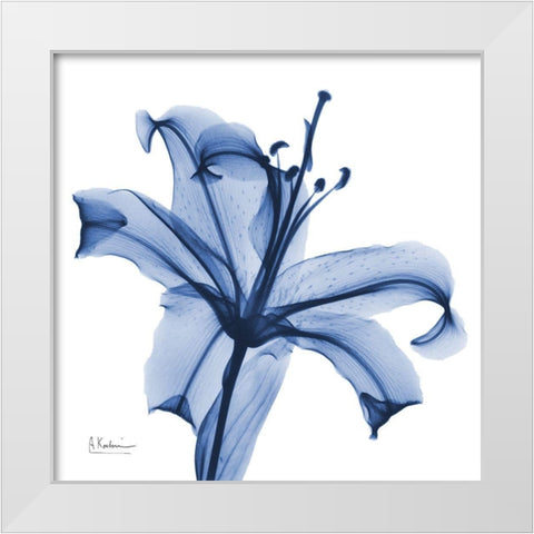 Glorious Indigo Lily White Modern Wood Framed Art Print by Koetsier, Albert