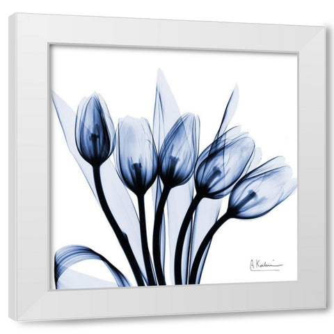 Marvelous Indigo Tulips White Modern Wood Framed Art Print by Koetsier, Albert