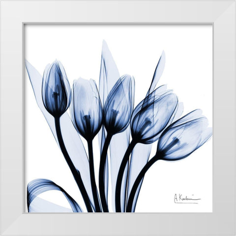 Marvelous Indigo Tulips White Modern Wood Framed Art Print by Koetsier, Albert