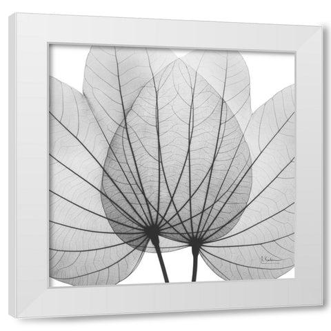 Orchid Tree BW White Modern Wood Framed Art Print by Koetsier, Albert