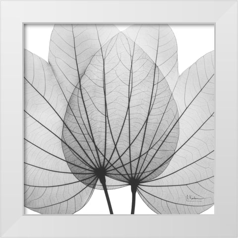 Orchid Tree BW White Modern Wood Framed Art Print by Koetsier, Albert