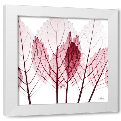 Brilliant Growth White Modern Wood Framed Art Print by Koetsier, Albert