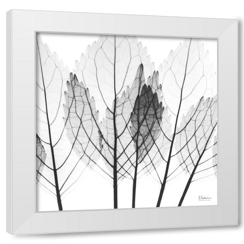 Monochromatic Growth White Modern Wood Framed Art Print by Koetsier, Albert