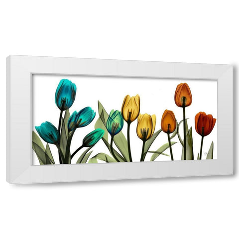 New Tulipscape White Modern Wood Framed Art Print by Koetsier, Albert