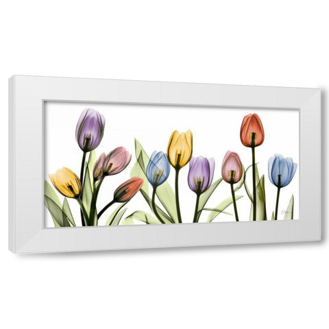 Tulipscape White Modern Wood Framed Art Print by Koetsier, Albert