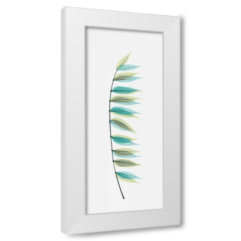 Chinese Pistachio White Modern Wood Framed Art Print by Koetsier, Albert