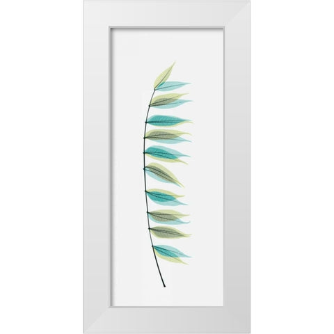 Chinese Pistachio White Modern Wood Framed Art Print by Koetsier, Albert