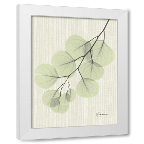 Eucalyptus E196 White Modern Wood Framed Art Print by Koetsier, Albert