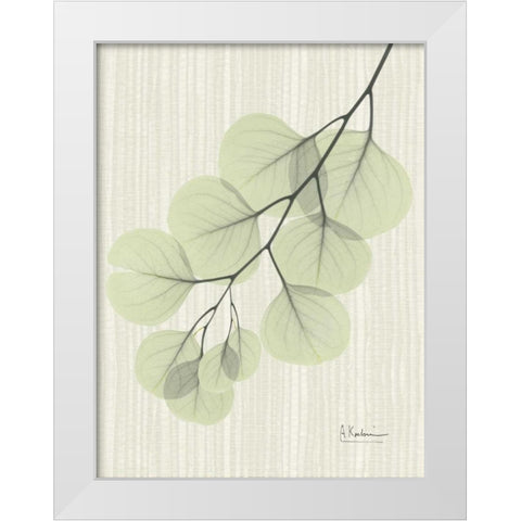 Eucalyptus E196 White Modern Wood Framed Art Print by Koetsier, Albert