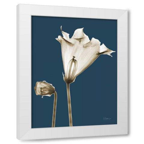Gloxinia TOP White Modern Wood Framed Art Print by Koetsier, Albert