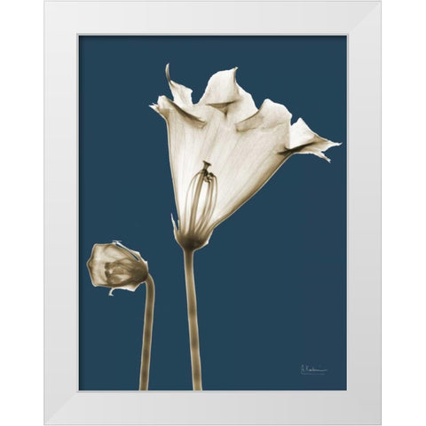 Gloxinia TOP White Modern Wood Framed Art Print by Koetsier, Albert