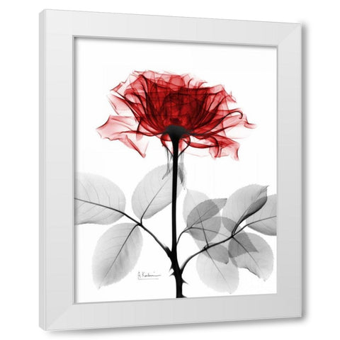 Rose 18 White Modern Wood Framed Art Print by Koetsier, Albert