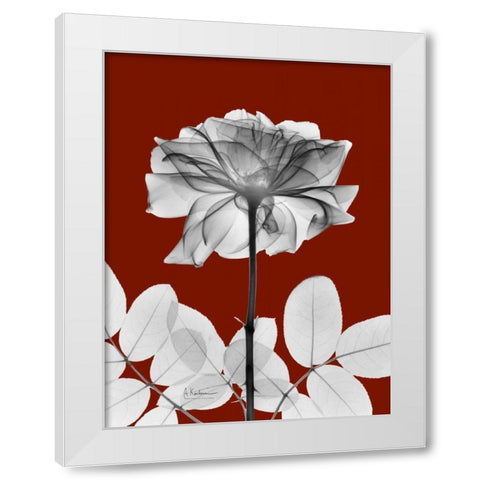 Rose 28 White Modern Wood Framed Art Print by Koetsier, Albert