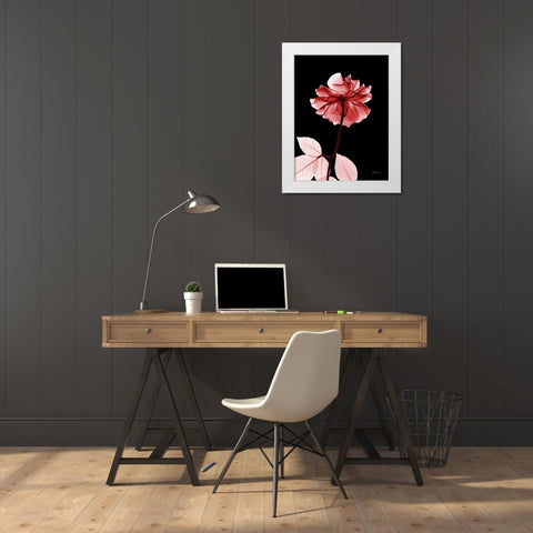 Rose 29 White Modern Wood Framed Art Print by Koetsier, Albert