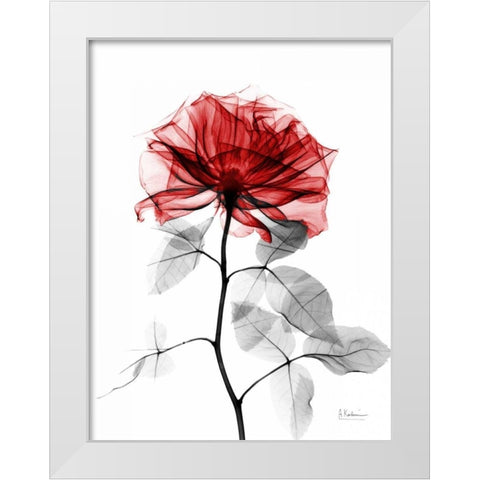 Rose 32 White Modern Wood Framed Art Print by Koetsier, Albert