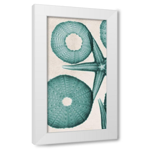 under The Sea 2 White Modern Wood Framed Art Print by Koetsier, Albert