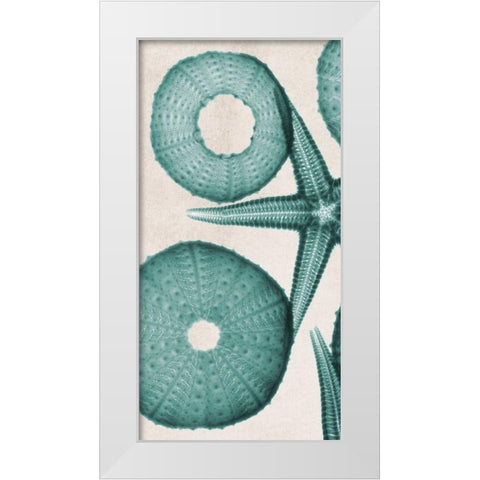 under The Sea 2 White Modern Wood Framed Art Print by Koetsier, Albert